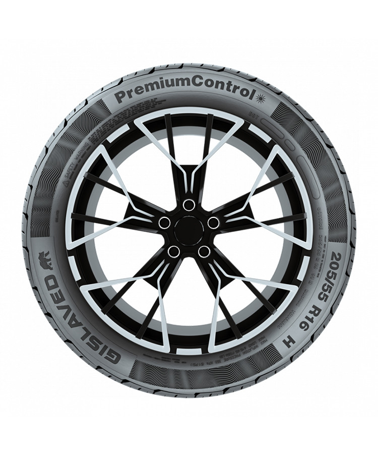 Gislaved PremiumControl 195/65 R15 91H купить в KOLOBOX