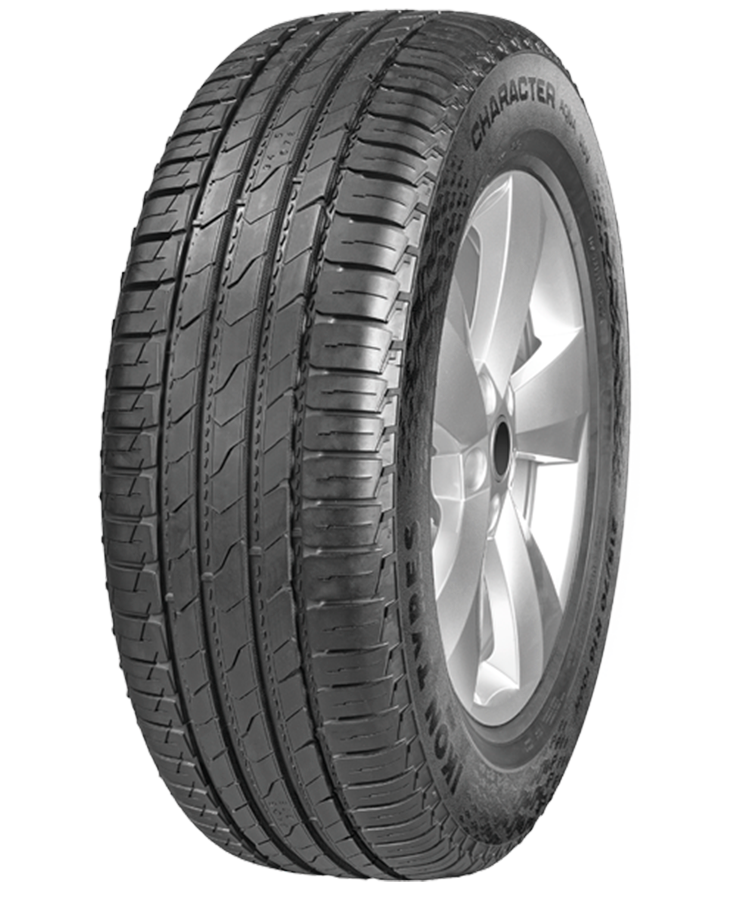 Ikon (Nokian Tyres) Character Aqua SUV (Nordman S2 SUV) 225/60 R18 100H